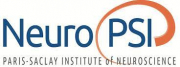 Institut NeuroPsi (CNRS - UMR9197)
