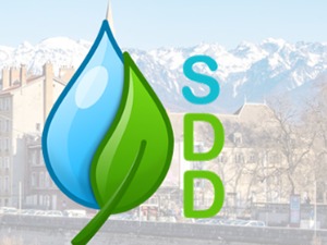 sdd