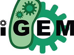 IGEM Grenoble INP  phelma